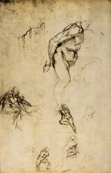 Study of Masculine Forms